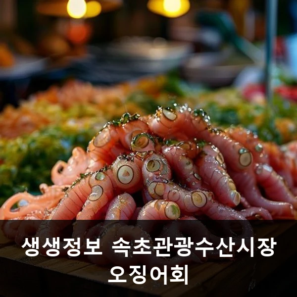 생생정보 속초관광수산시장 오징어회 관련 대표 이미지
