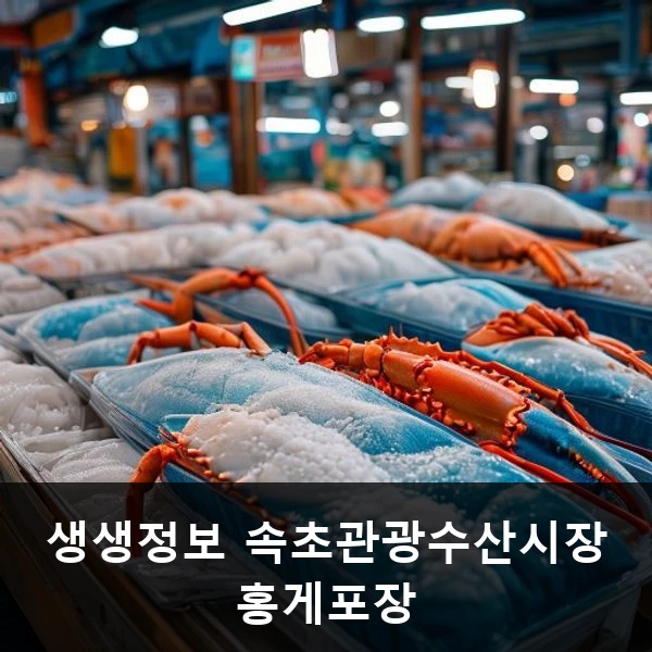생생정보 속초관광수산시장 홍게포장 관련 대표 이미지