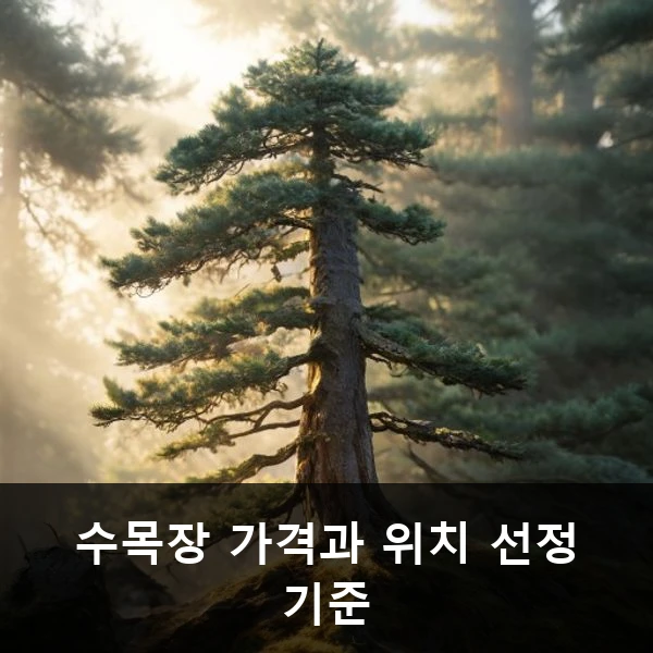 수목장 가격과 위치 선정 기준