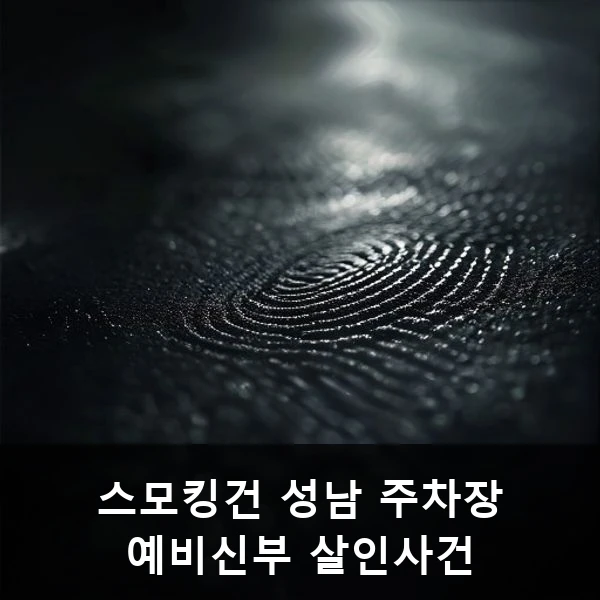 스모킹건 성남 주차장 예비신부 살인사건 관련 대표 이미지