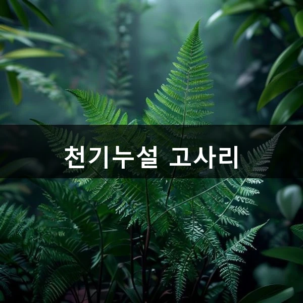 천기누설 고사리 관련 대표 이미지