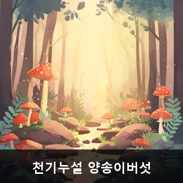 천기누설 양송이버섯 관련 대표 이미지