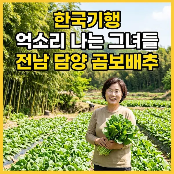 한국기행 억소리 나는 그녀들 전남 담양 곰보배추