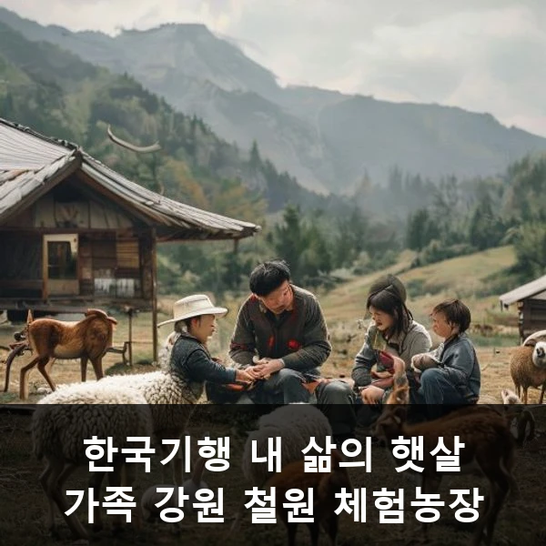 한국기행 내 삶의 햇살 가족 강원 철원 체험농장 관련 대표 이미지