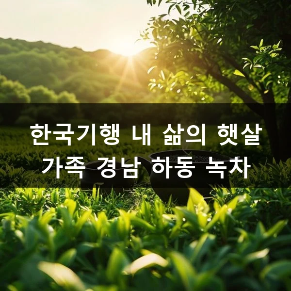 한국기행 내 삶의 햇살 가족 경남 하동 녹차 관련 대표 이미지