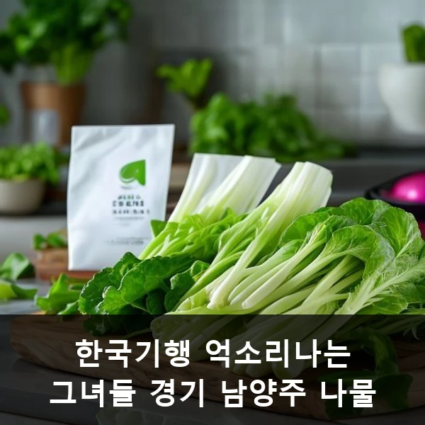 한국기행 억소리나는 그녀들 경기 남양주 나물 관련 대표 이미지