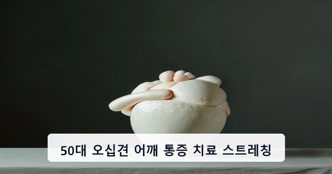 50대 오십견 어깨 통증 치료 스트레칭