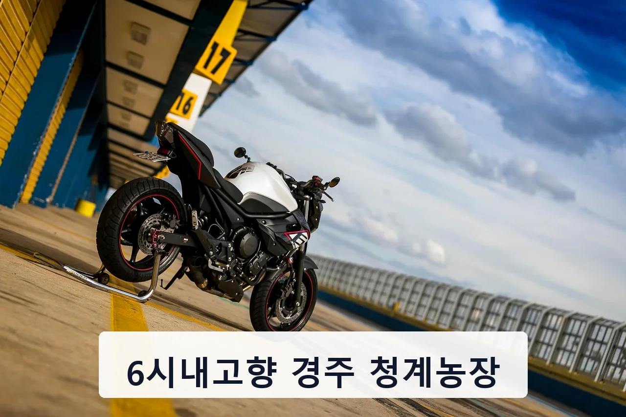 6시내고향 경주 청계농장 안내 이미지