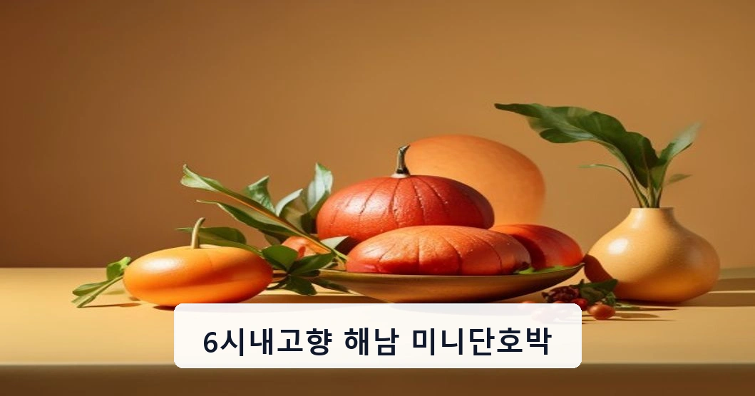 6시내고향 해남 미니단호박
