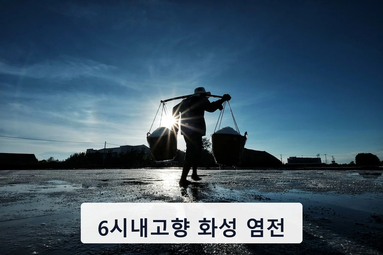 6시내고향 화성 염전