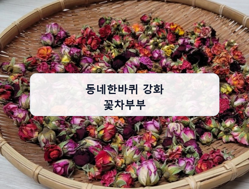 동네한바퀴 강화 꽃차부부 안내 이미지
