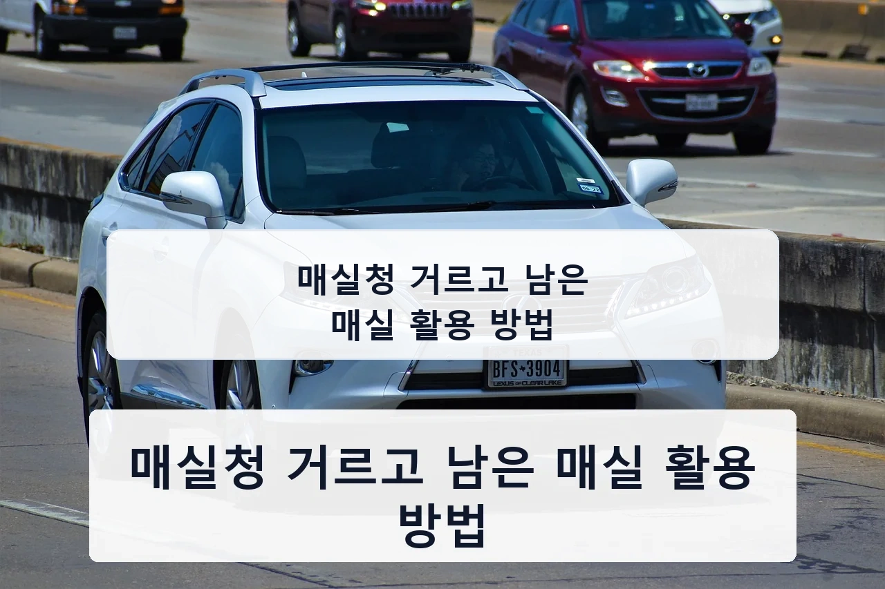 매실청 거르고 남은 매실 활용 방법 안내 이미지