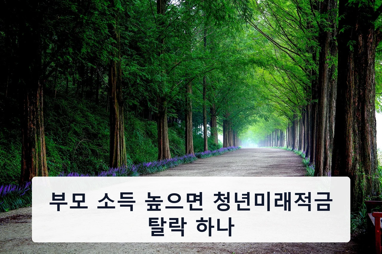 부모 소득 높으면 청년미래적금 탈락 하나 안내 이미지