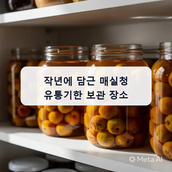 작년에 담근 매실청 유통기한 보관 장소 안내 이미지