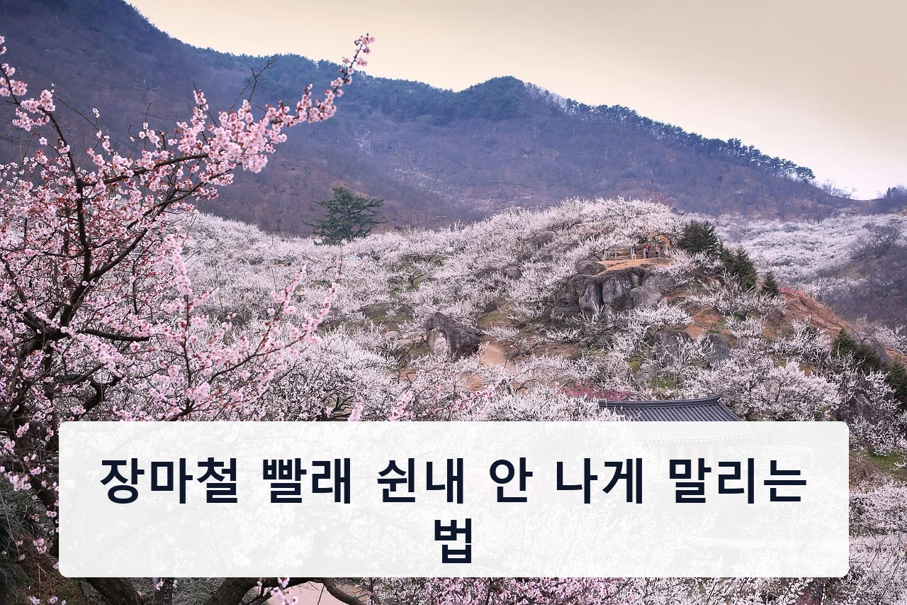 장마철 빨래 쉰내 안 나게 말리는 법 안내 이미지