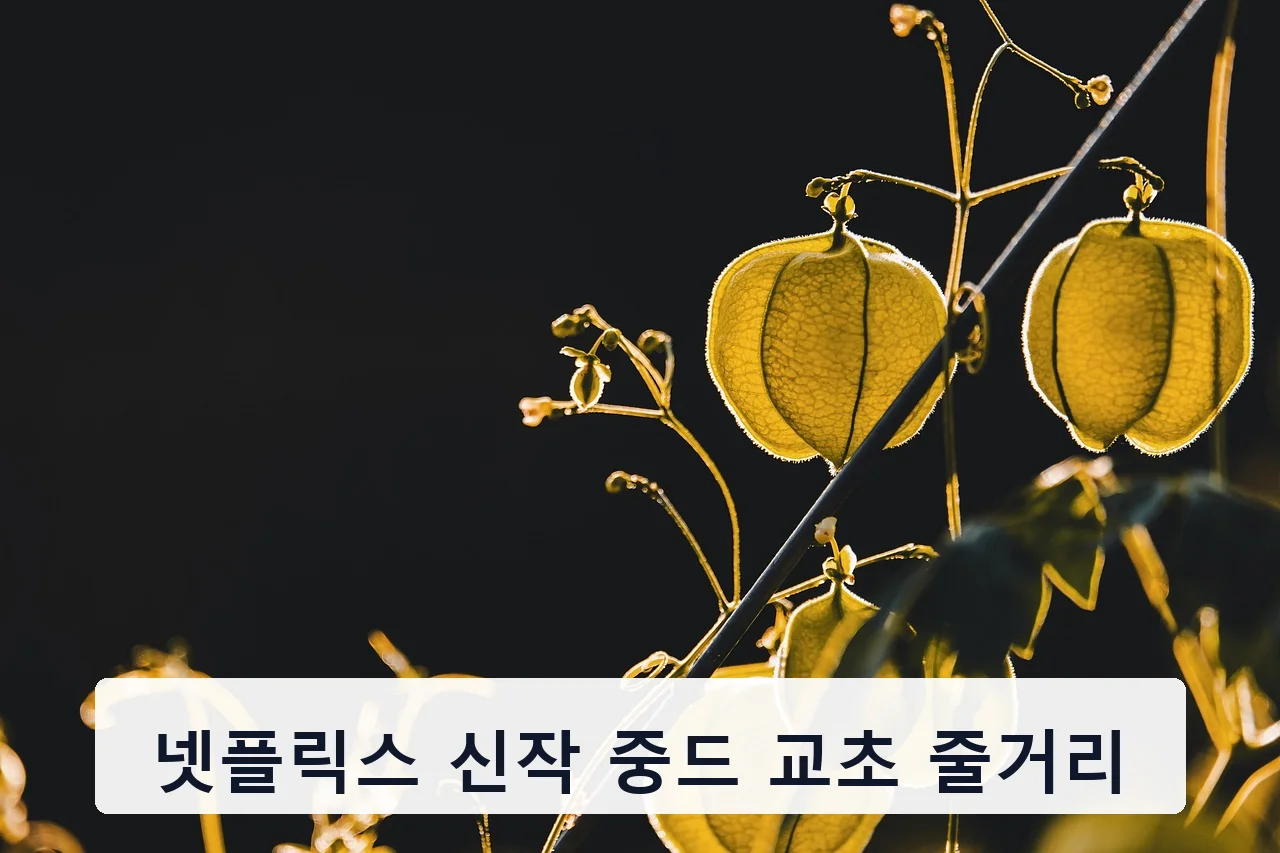 넷플릭스 신작 중드 교초 줄거리
