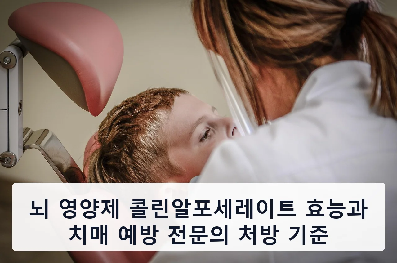 뇌 영양제 콜린알포세레이트 효능과 치매 예방 전문의 처방 기준