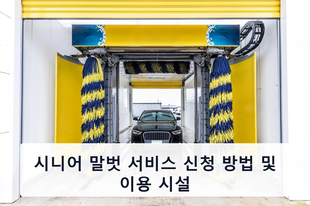 시니어 말벗 서비스 신청 방법 및 이용 시설