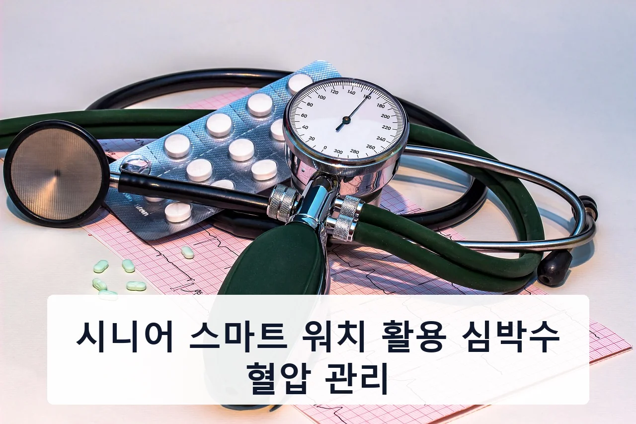시니어 스마트 워치 활용 심박수 혈압 관리