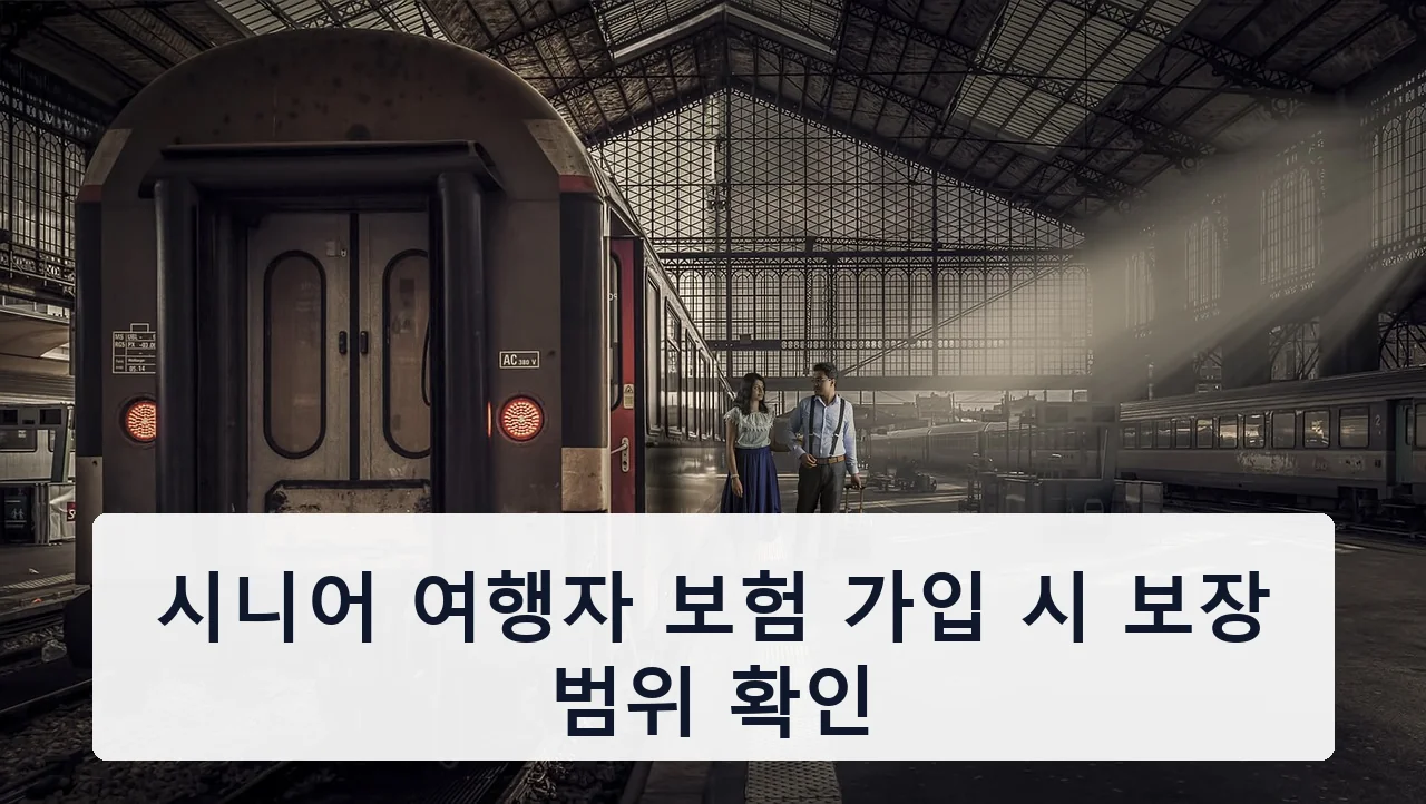시니어 여행자 보험 가입 시 보장 범위 확인