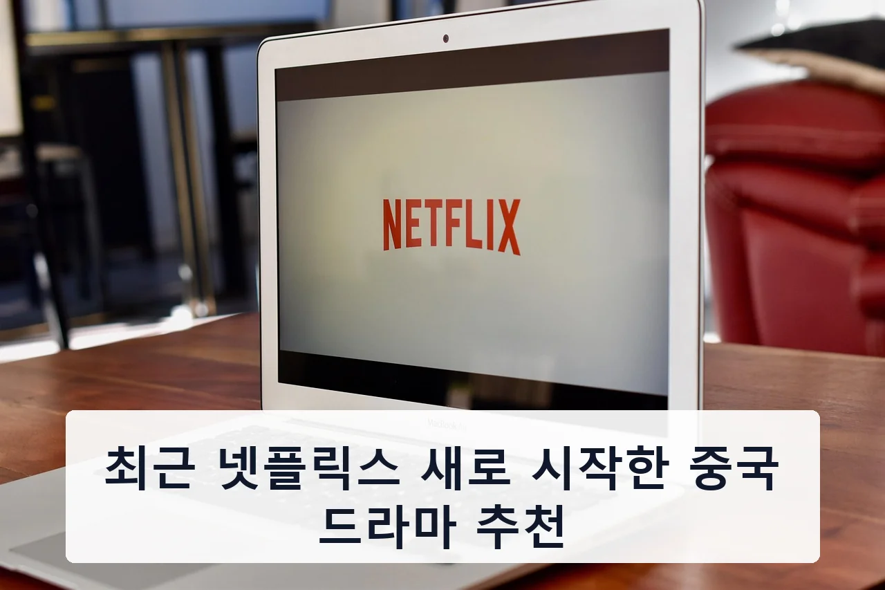 최근 넷플릭스 새로 시작한 중국 드라마 추천
