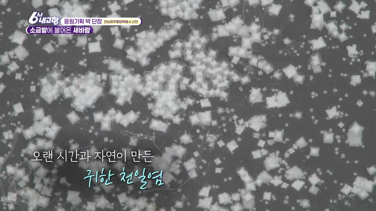 6시내고향 신안 천일염 관련 실용 안내 사진 1