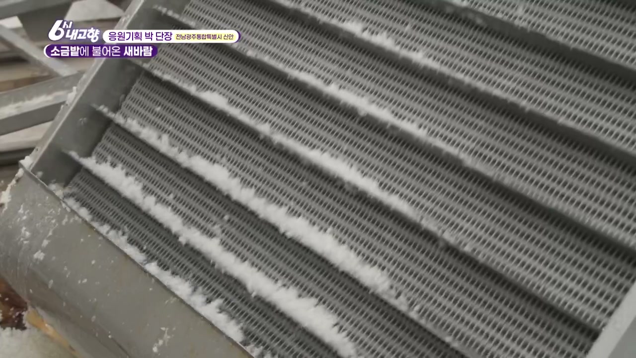 6시내고향 신안 천일염 관련 실용 안내 사진 3