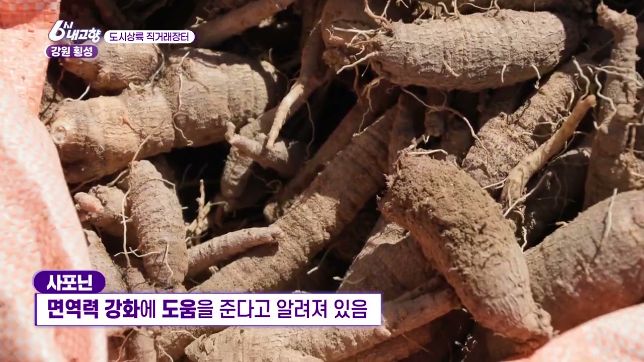 6시내고향 직거래장터 횡성 더덕 관련 실용 안내 사진 1