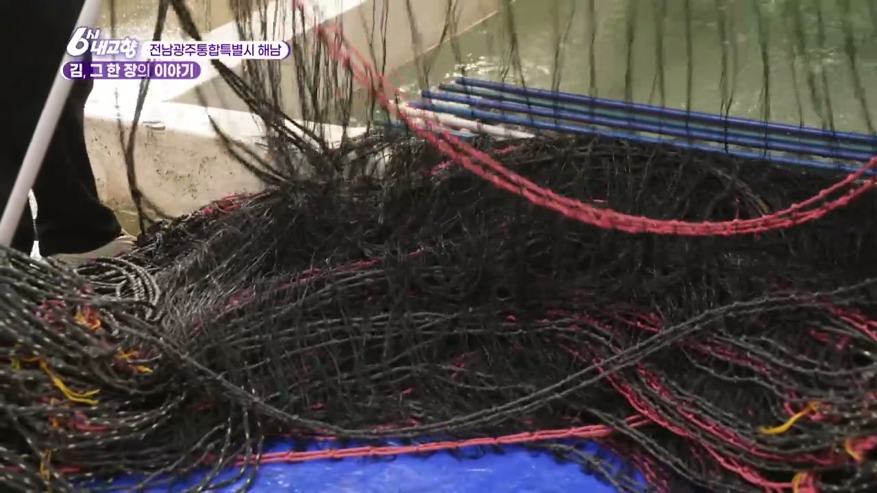 6시내고향 해남 김 관련 실용 안내 사진 1