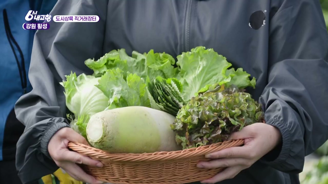 6시내고향 횡성 채소꾸러미 관련 실용 안내 사진 1