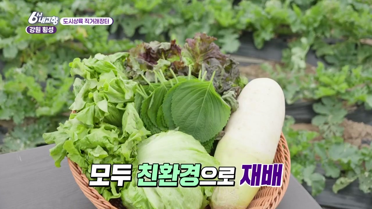 6시내고향 횡성 채소꾸러미 관련 실용 안내 사진 2