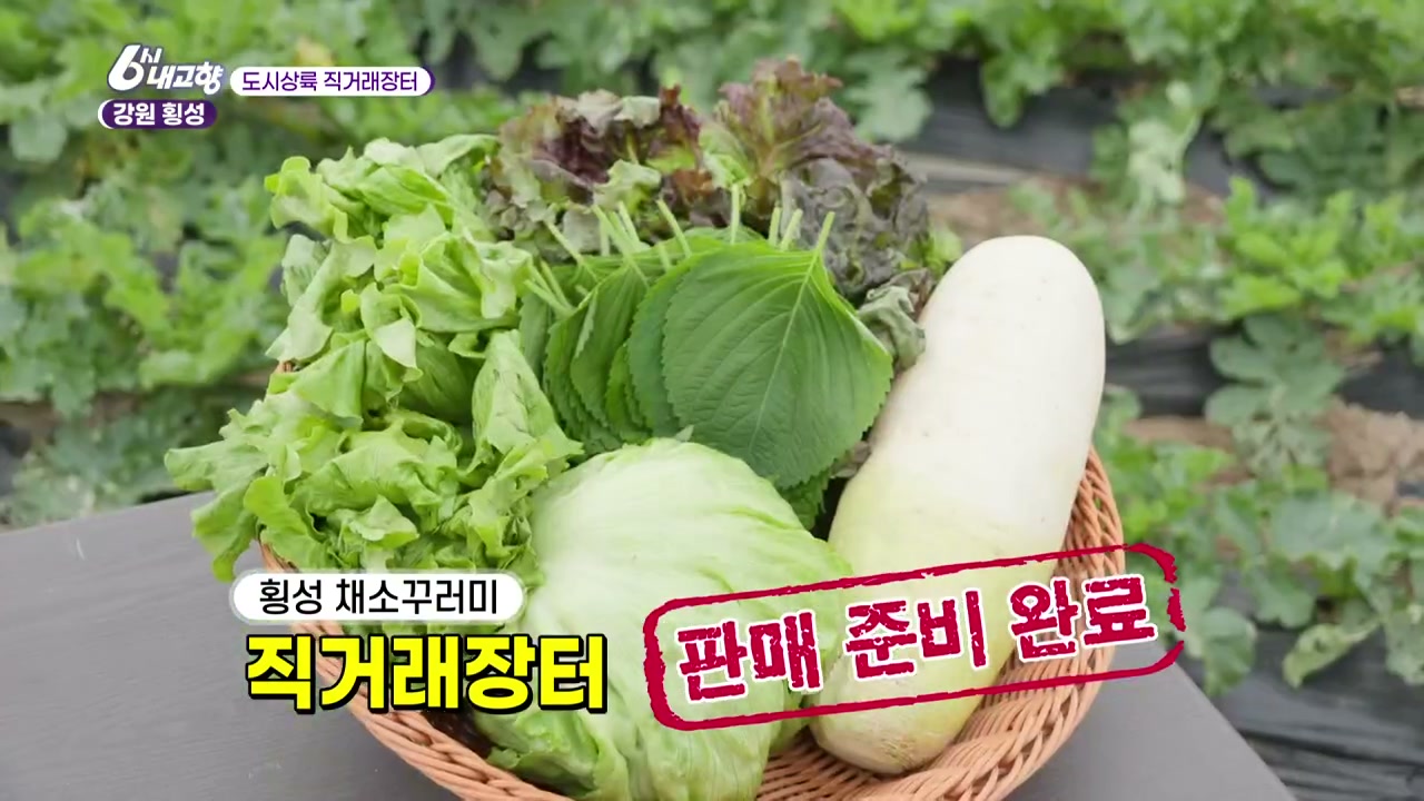 6시내고향 횡성 채소꾸러미 관련 실용 안내 사진 3