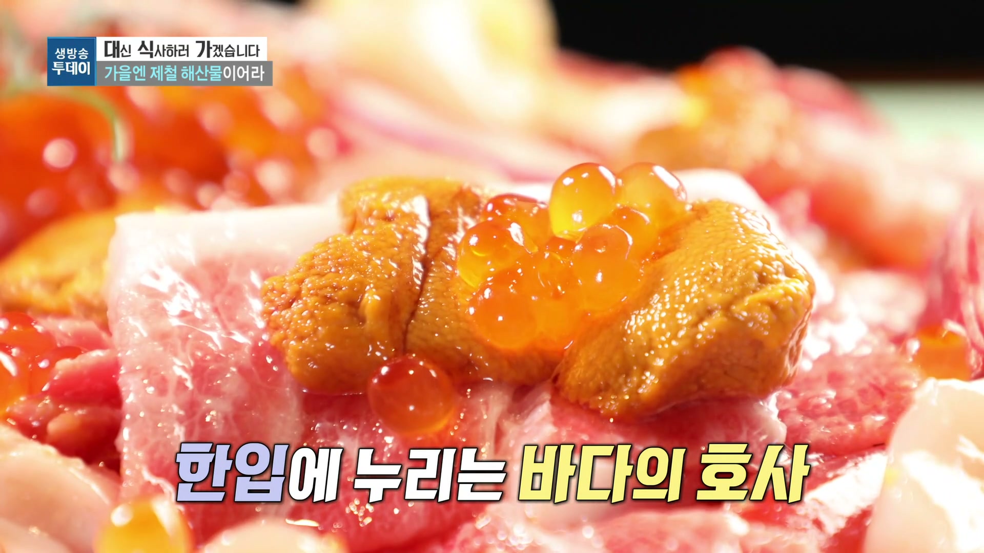 모닝와이드 제철해산물스페셜 관련 실용 안내 사진 3