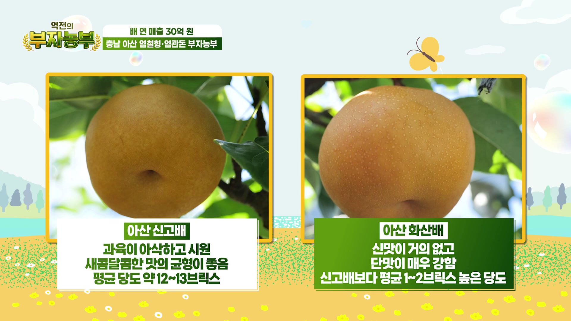 역전의부자농부 아산 그린시스배 관련 실용 안내 사진 1