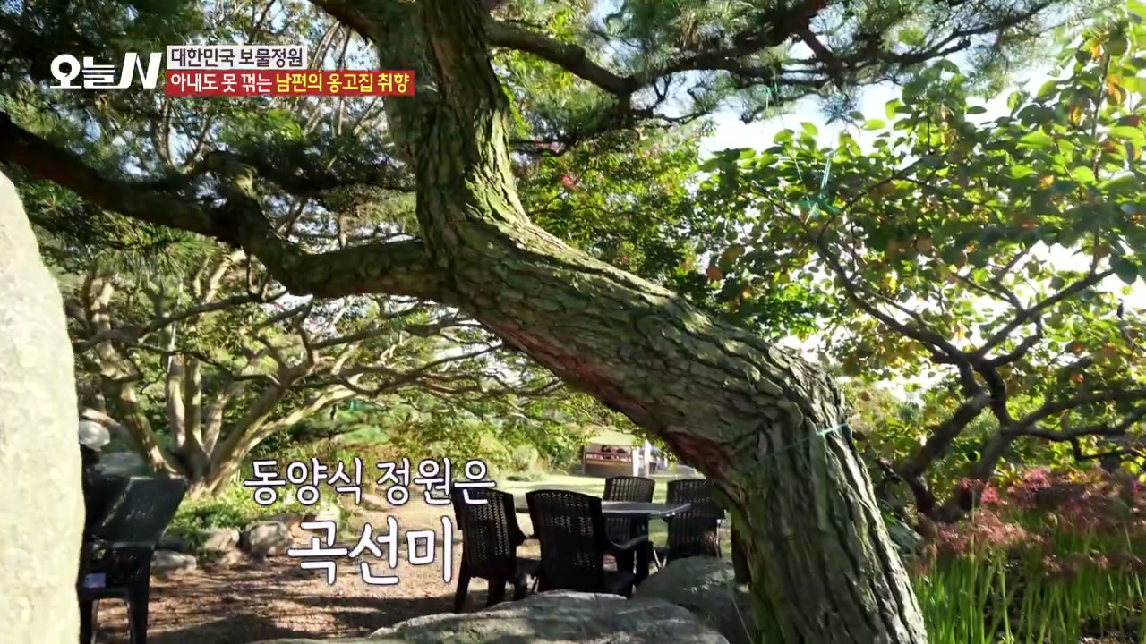 오늘N 군산 배롱나무정원 관련 실용 안내 사진 2
