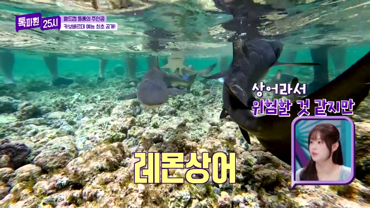 톡파원25시 카보베르데 여행 관련 실용 안내 사진 3